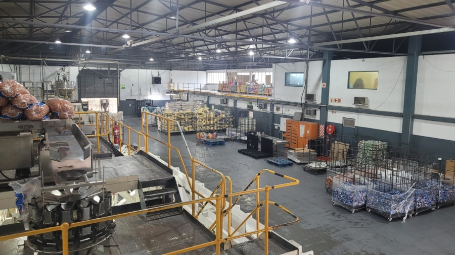 To Let commercial Property for Rent in Epping Industrial Western Cape